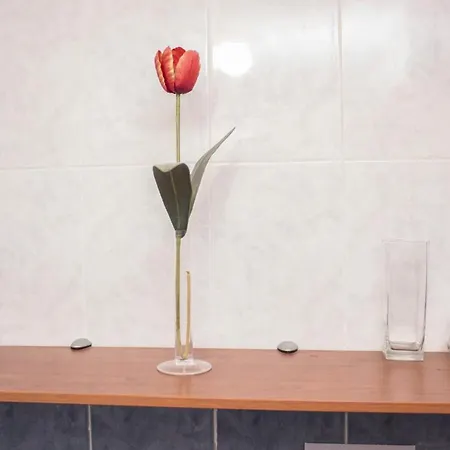 Daffodil Icod De Los Vinos