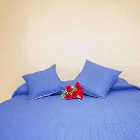 Apartmán Daffodil *